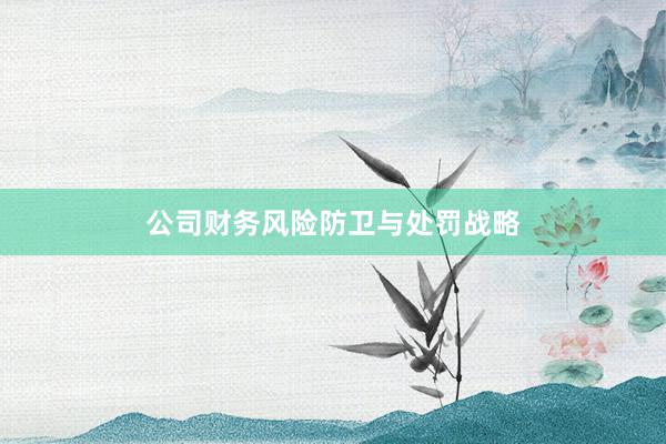 公司财务风险防卫与处罚战略